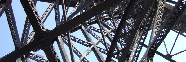 ninetailsfox63 Profile Banner