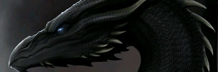 debb79's profile banner image