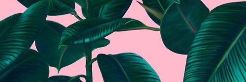 cbench125's profile banner image