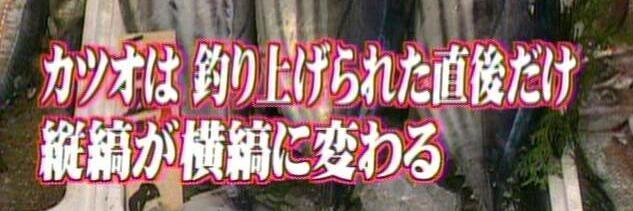 saba_ori's profile banner image