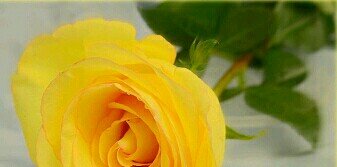 chsmile11's profile banner image