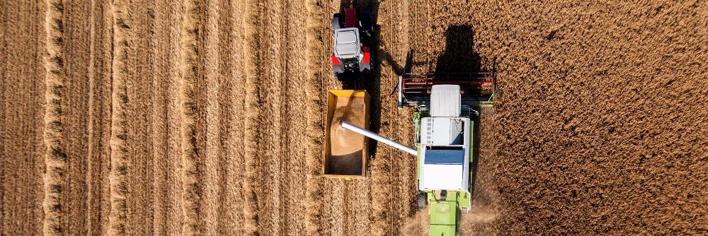 Sarah Chambers banner