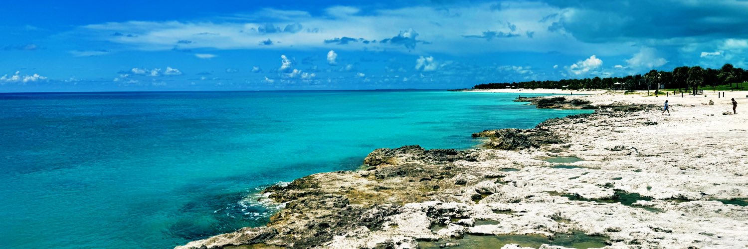 Steven Bailey banner