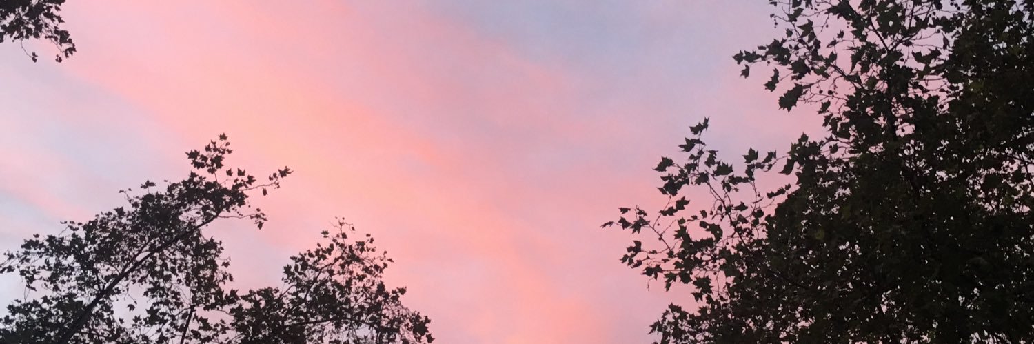 lau banner