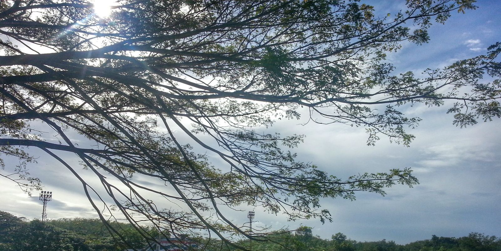 ruruguru's profile banner image