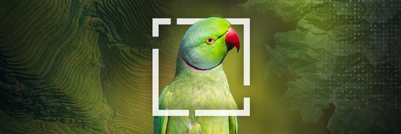 ArcGIS StoryMaps's banner