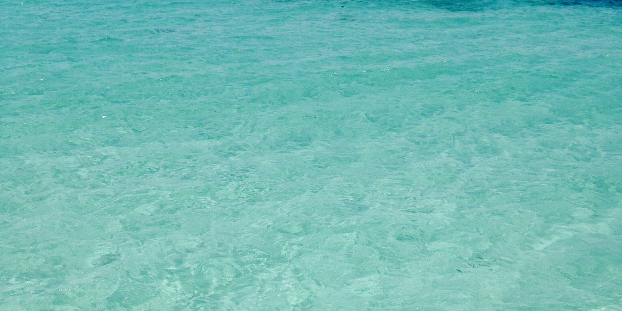 CMarcano_'s profile banner image