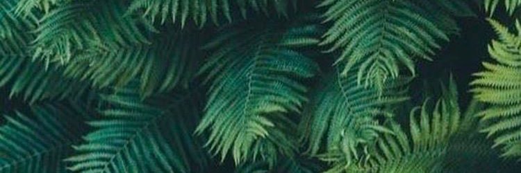 alexlloyd95's profile banner image