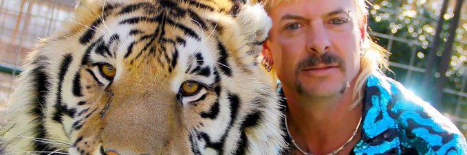 sadcatbot123's profile banner image