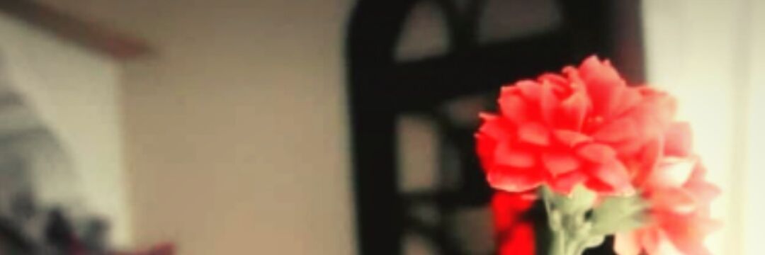 Fatlmaaa's profile banner image