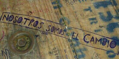 bichos010's profile banner image