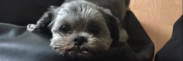 le0nie__'s profile banner image