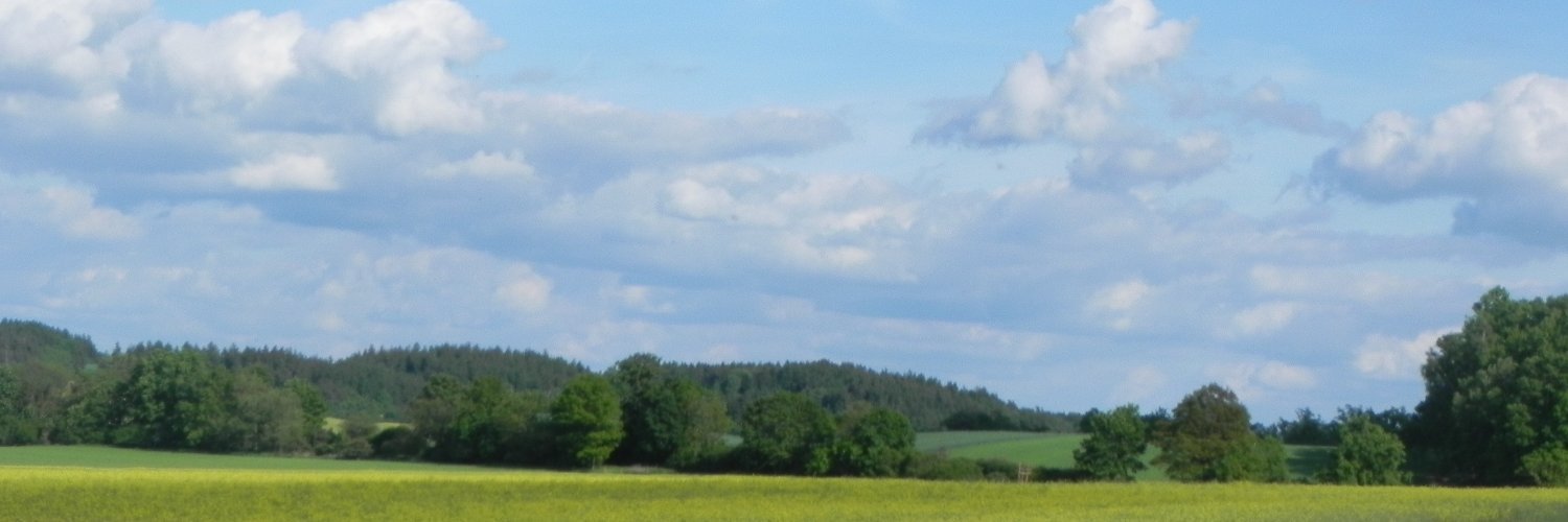 LarsLegath's profile banner image