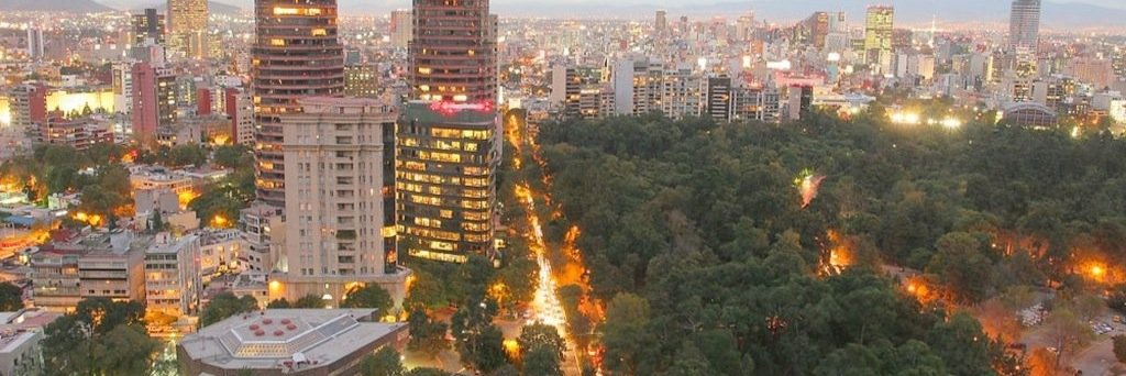 Zona Polanco banner