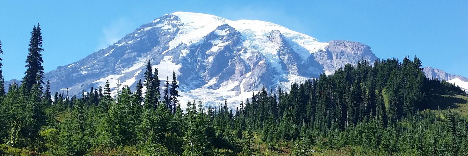 Stacey Anderson, M.A. Ed. banner