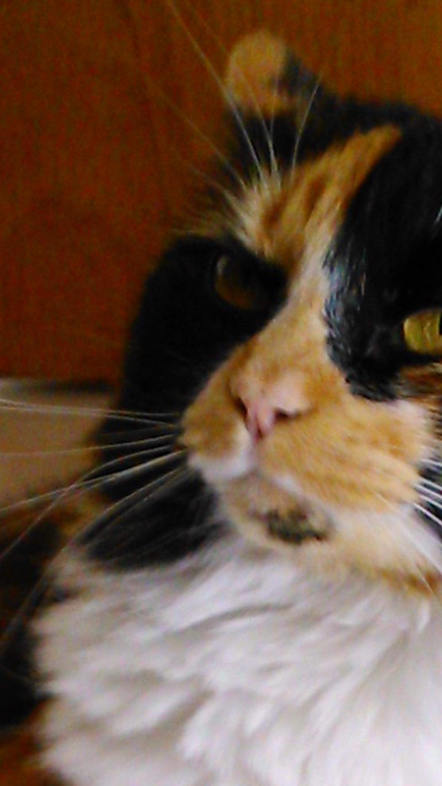NugapaNury's profile banner image