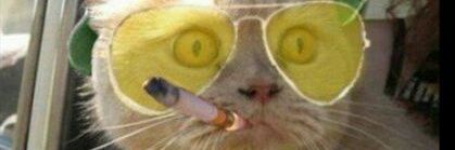 ReyGanja's profile banner image