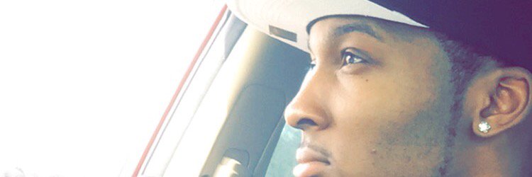 DominantDinosaur banner