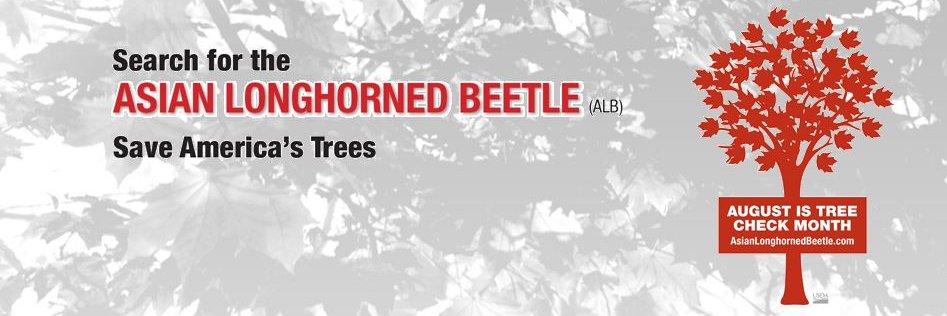 ALB Eradication banner