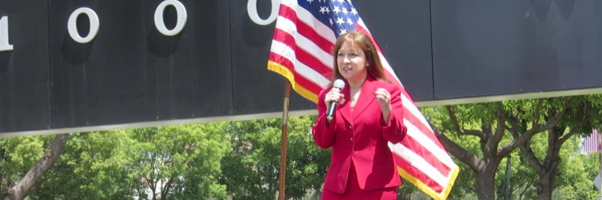 Susan Shelley's banner
