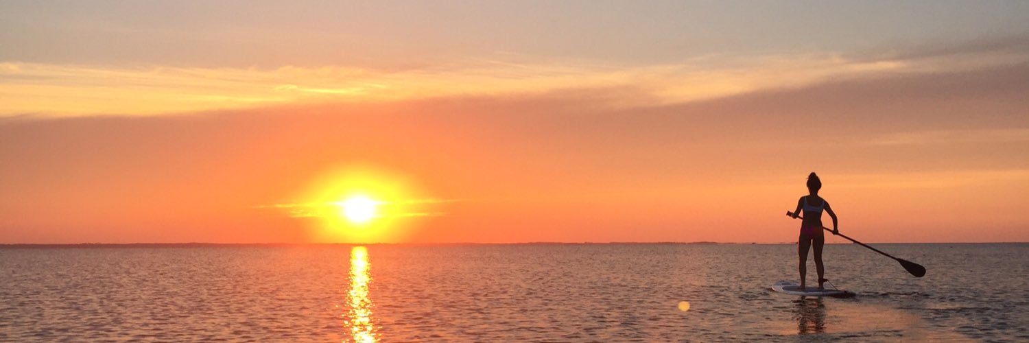 Shea_Tarring's profile banner image