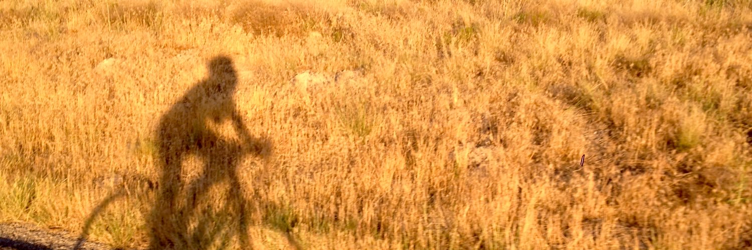 witneyfarm's profile banner image