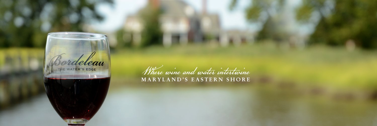 shoreVines's profile banner image
