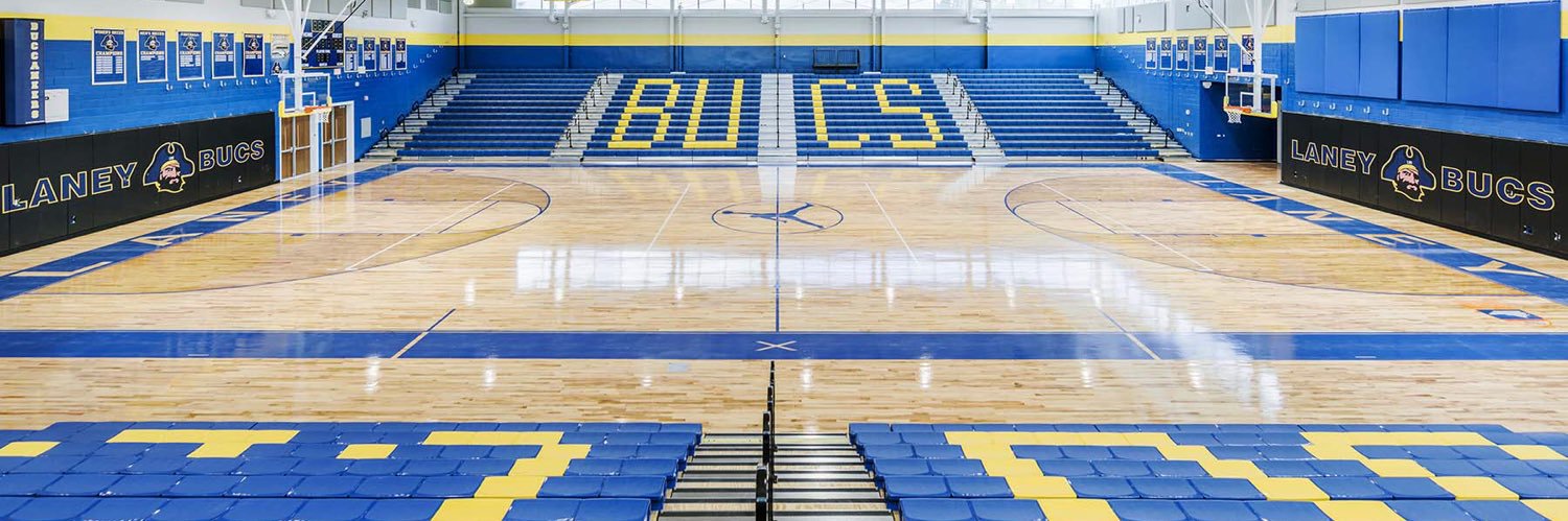Laney Volleyball banner