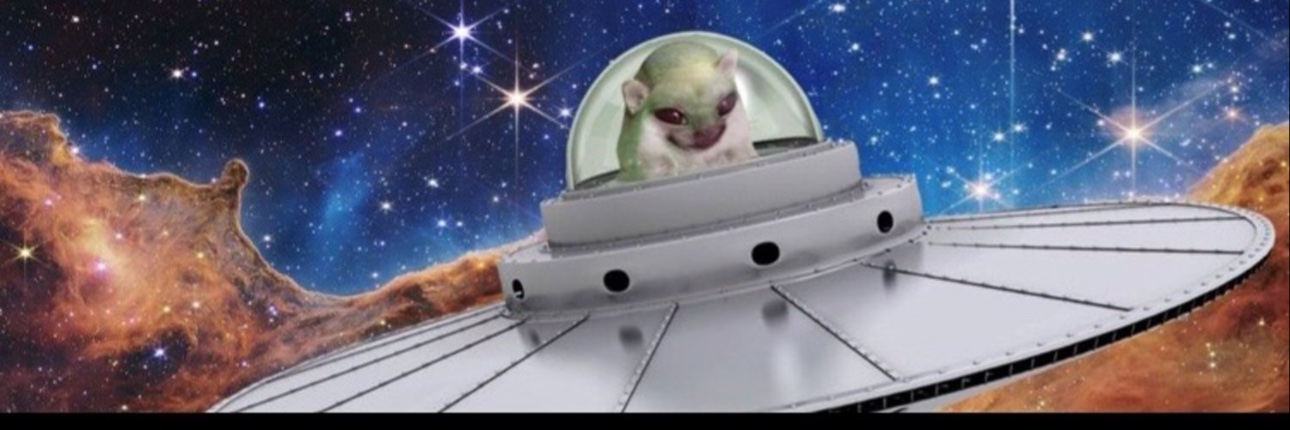 🛸#UFO👽FELLA banner
