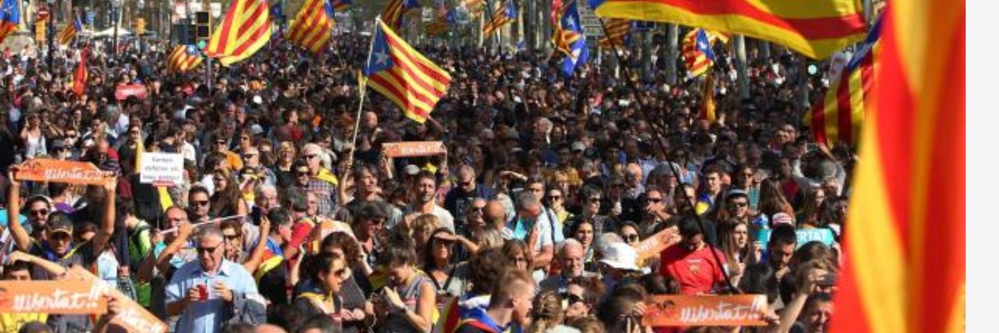 Davidups's profile banner image