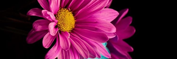 Camyy_Rodriguez's profile banner image