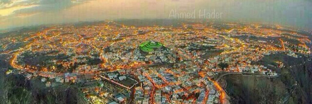 هدهد سليمان banner