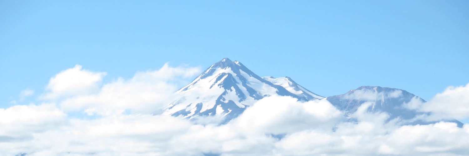 stephanietbui's profile banner image