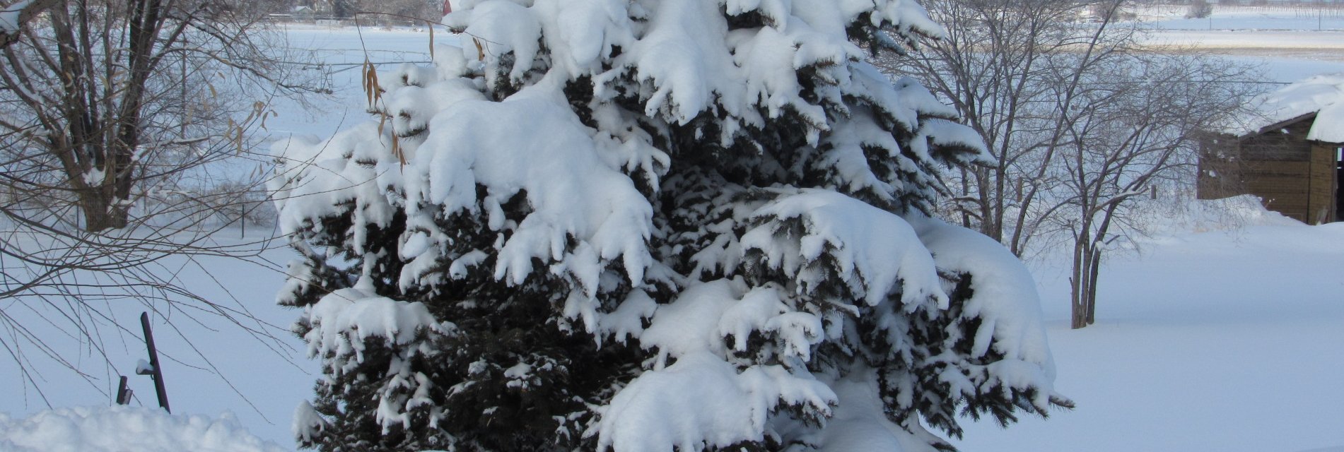 blwbdw's profile banner image