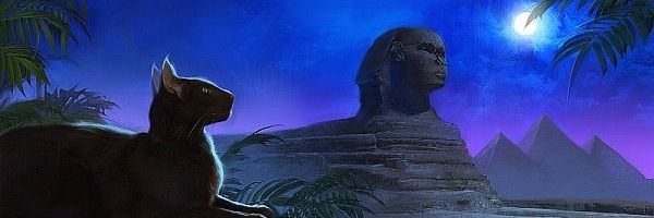 EdgarTaylor1's profile banner image