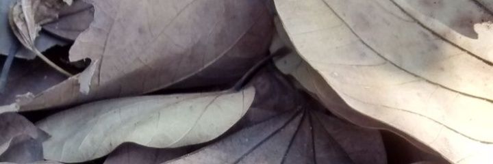 dbrtr0_'s profile banner image