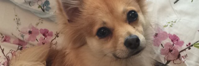 smlnd's profile banner image