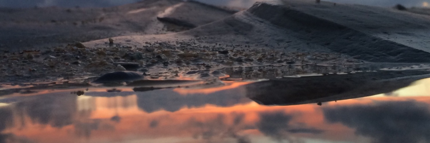 BriNicholson's profile banner image