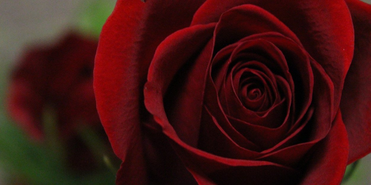 Nackerman618's profile banner image
