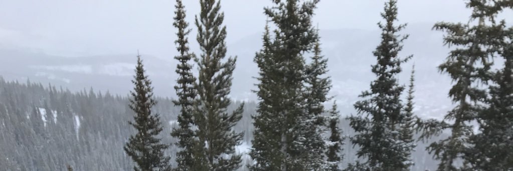 adambowser7's profile banner image