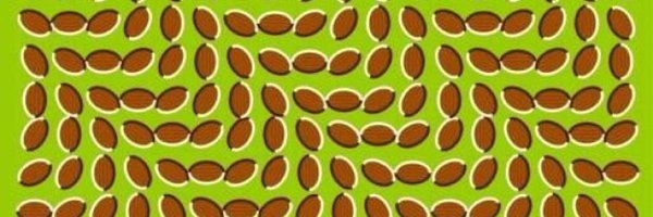 Eviehx Profile Banner