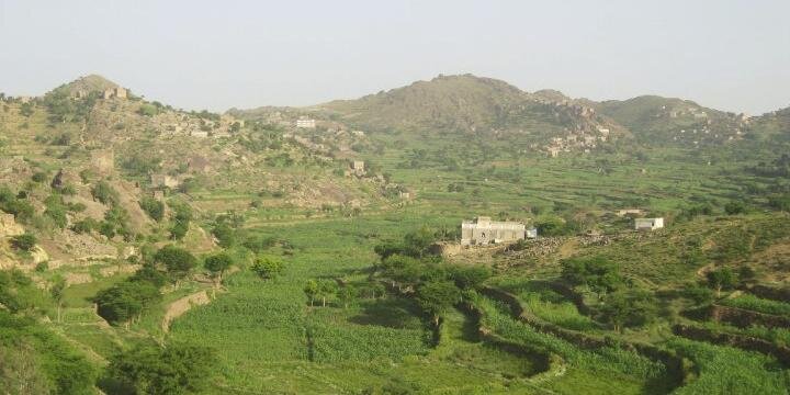 malim2000's profile banner image