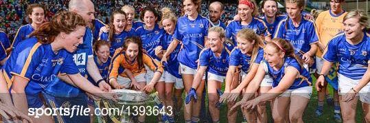 Lauren Fitzpatrick banner