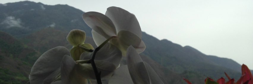 josemarbla's profile banner image