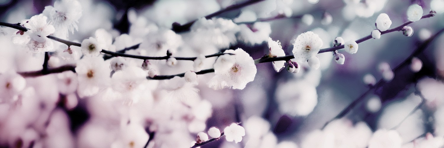 to4632's profile banner image