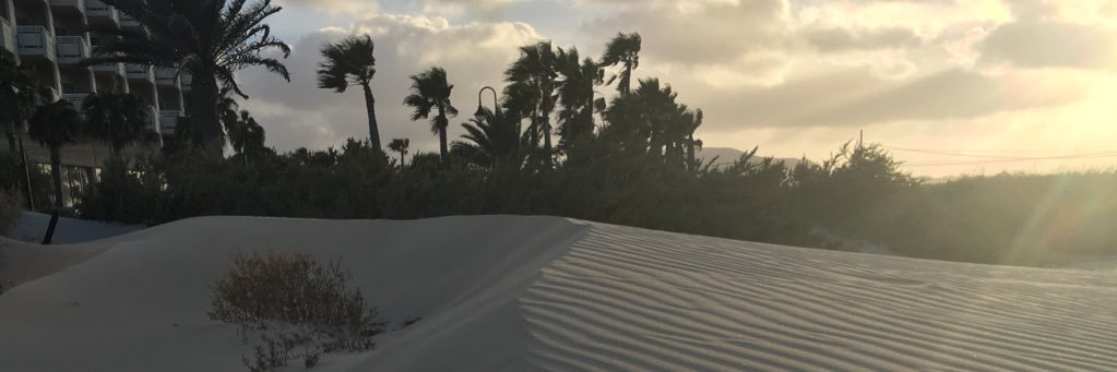 andreafaybrown's profile banner image