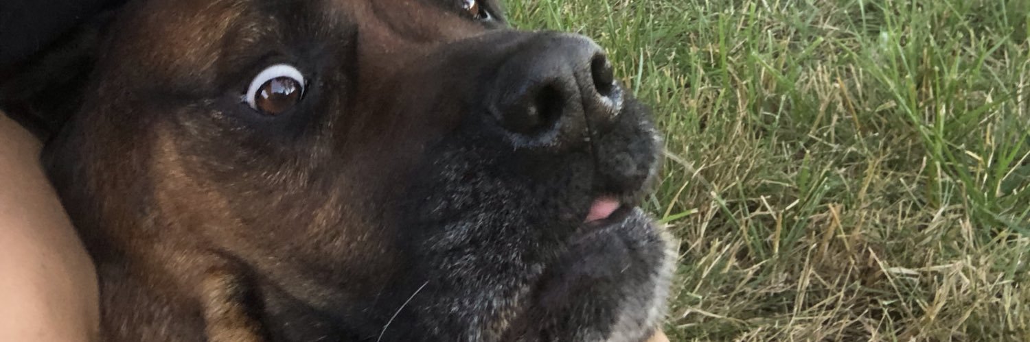 zoaaayyy's profile banner image