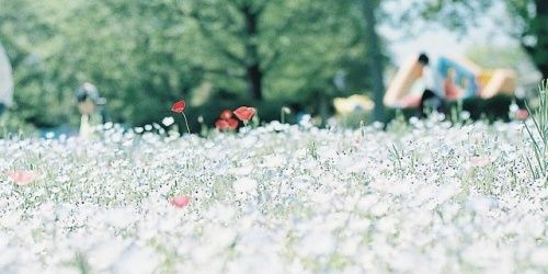 _Iamana_'s profile banner image