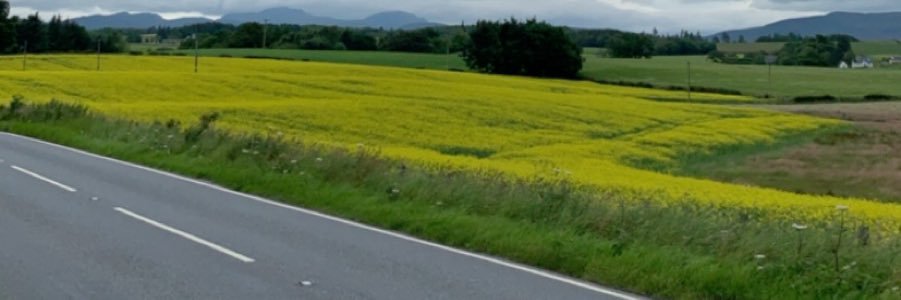 AlamoudManal's profile banner image