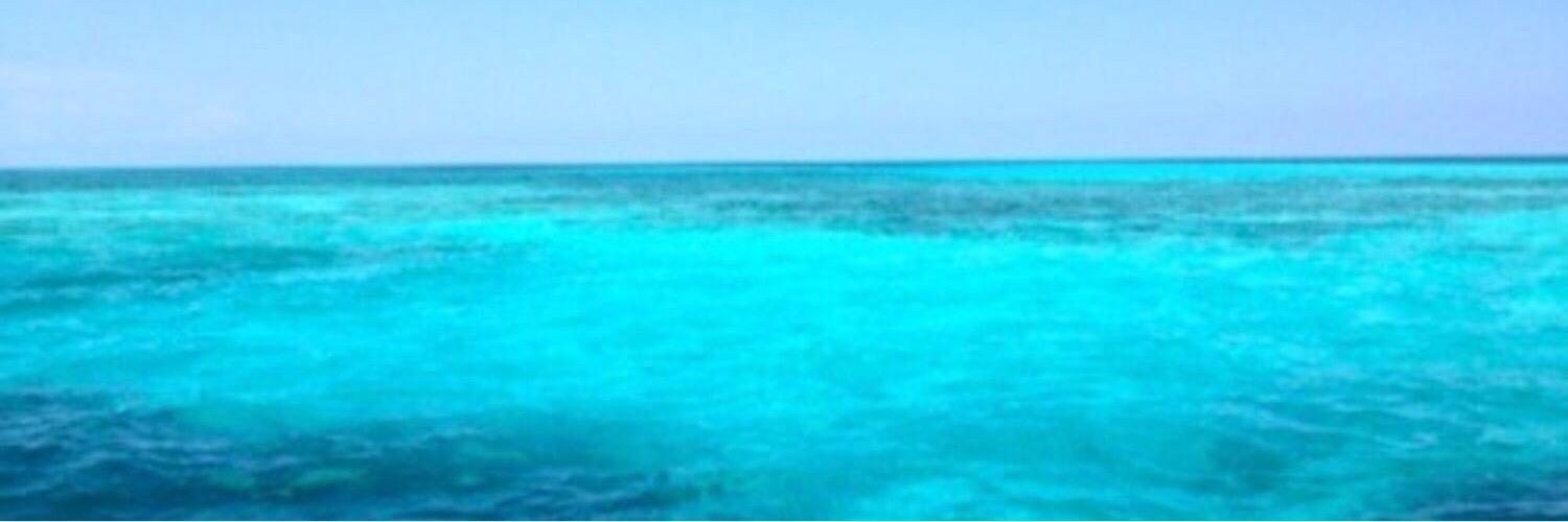 capucinecamier's profile banner image